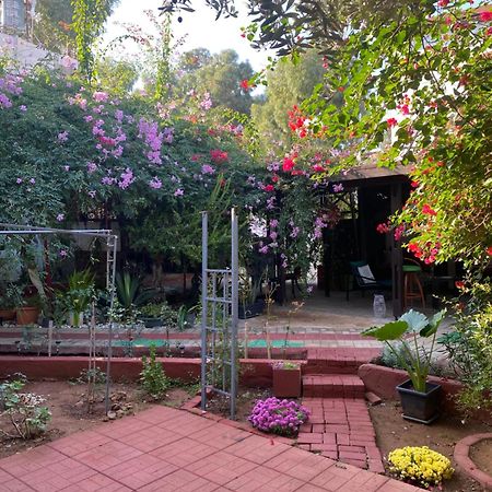 Betul Guest House Famagusta  Buitenkant foto