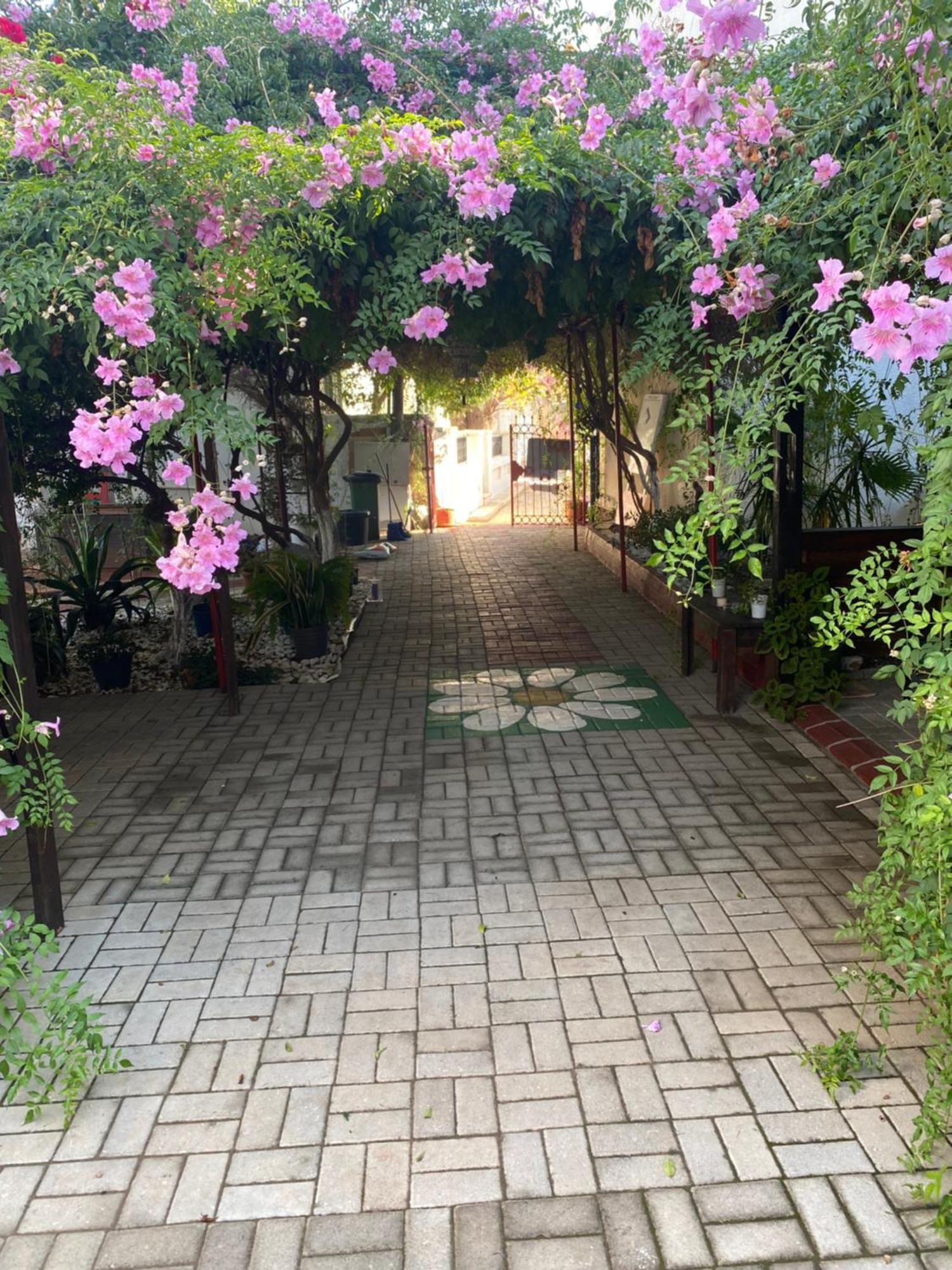 Betul Guest House Famagusta  Buitenkant foto